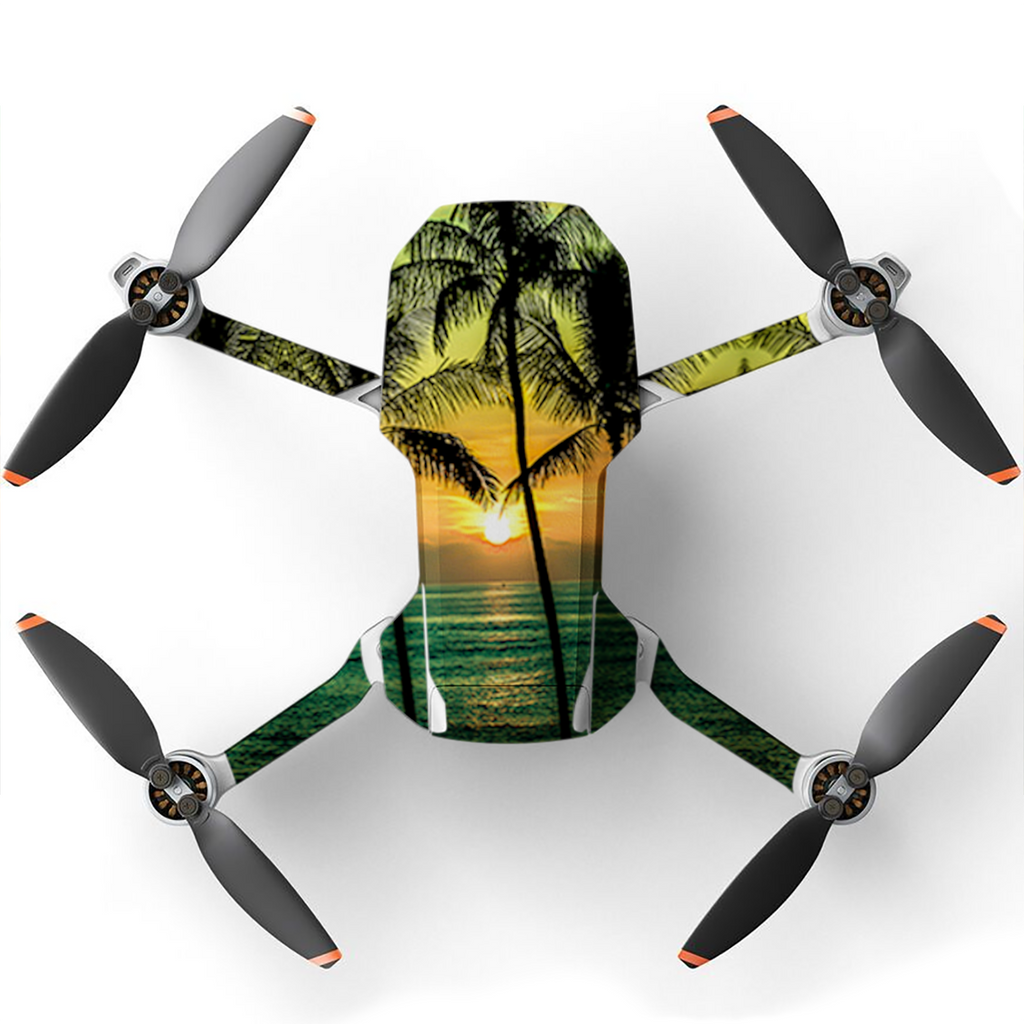 Sunset Palm Trees Ocean