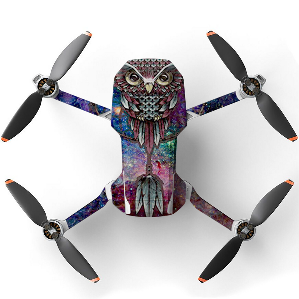 Dreamcatcher Owl In Color