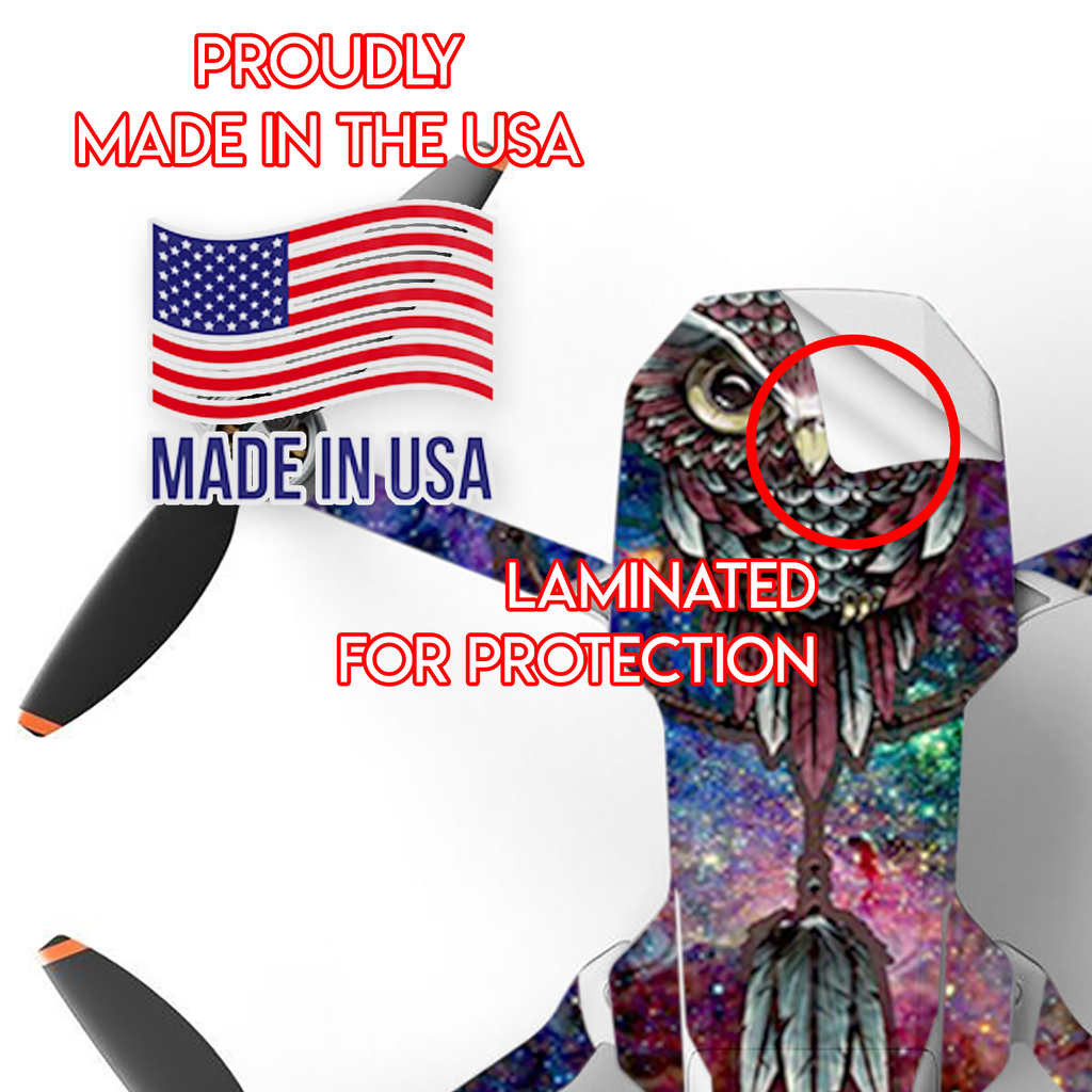 Dreamcatcher Owl In Color